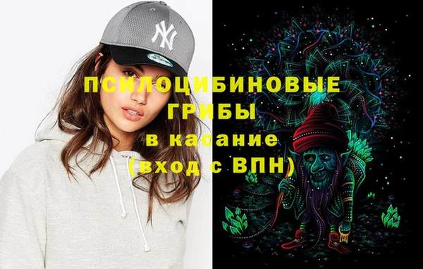 сатива Костерёво