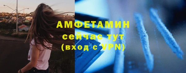 сатива Костерёво