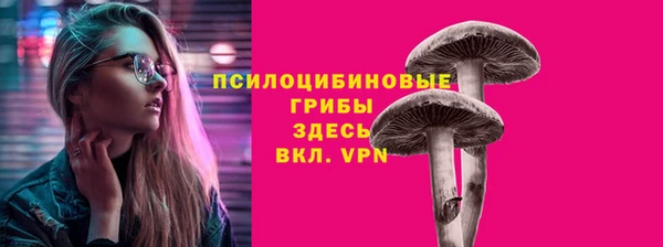сатива Костерёво