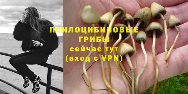 ешки Коряжма